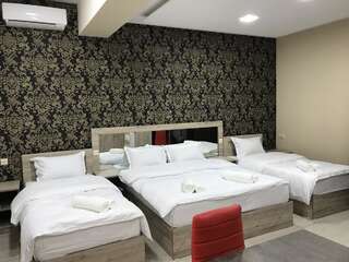 Отели типа «постель и завтрак» Kamar Hotel Ijevan Иджеван Апартаменты Делюкс-1
